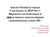 Анализ бюджета города Смоленска. Варианты оптимизации и эффективного использования экономических основ МС