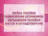 Мейоз. Половое размножение организмов. Образование половых клеток и оплодотворение