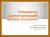 Поведение доминирующей фирмы на рынке