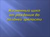 Жизненный цикл от рождения до поздней зрелости