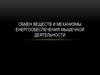 Обмен веществ и энергообеспечение мышечной деятельности