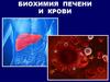 Биохимия печени и крови