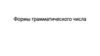 Формы грамматического числа