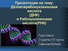 Дезоксирибонуклеиновая кислота (ДНК) и Рибонуклеиновая кислота (РНК)