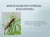 Көктемдіктер отряды – Plecoptera