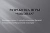 Разработка игры “Sokoban”