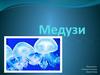 Медузи. Ознайомитися з будовою і різноманітністю медуз