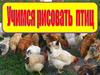 Учимся рисовать птиц