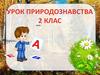 Урок природознавства. (2 клас)