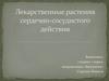 Лекарственные растения сердечно-сосудистого действия