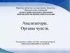 Анализаторы. Органы чувств