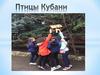 Птицы Кубани