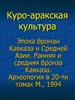 Куро-аракская культура. Эпоха бронзы Кавказа и Средней Азии. Ранняя и средняя бронза Кавказа