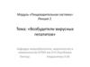 Пищеварительная система. Возбудители вирусных гепатитов. (Лекция 2)