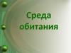 Среда обитания