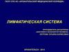 Лимфатическая система