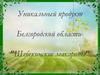 Уникальный продукт Белгородской области-”Шебекинские макароны”