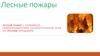Лесные пожары