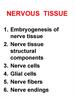 Nervous tissue