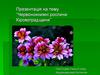 Червонокнижні рослини Кіровоградщини