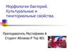 Морфология бактерий. Культуральные и тинкториальные свойства