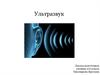 Ультразвук в природе