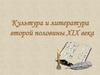 Культура и литература второй половины XIX века