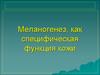 Меланогенез, как специфическая функция кожи