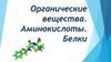 Органические вещества. Аминокислоты. Белки