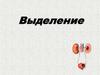 Органы, осуществляющие выделение