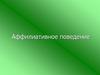 Аффилиативное поведение