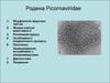 Родина Picornaviridae