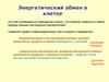 Энергетический обмен в клетке
