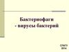 Бактериофаги - вирусы бактерий