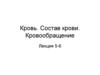 Кровь. Состав крови. Кровообращение