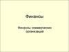 Финансы коммерческих организаций. (Тема 14)