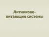 Литниково-питающие системы