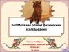 Кот Мотя как объект физических исследований