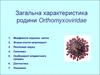 Загальна характеристика родини Orthomyxoviridae