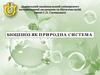 Біоценоз як природна система