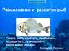 Размножение и развитие рыб