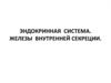 Эндокринная система. Железы внутренней секреции