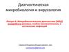 Этиология анаэробных раневых, гнойно-воспалительных, и септических инфекций