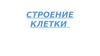Строение клетки
