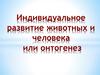 Индивидуальное развитие животных и человека, или онтогенез