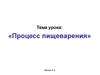 Процесс пищеварения