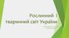 Рослинний  і тваринний світ України