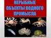 Нерыбные объекты водного промысла