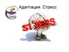 Адаптация.  Стресс