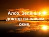 Алоэ. Зелёный доктор на вашем окне